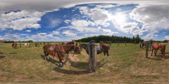 Guérande - Congor - Polo III