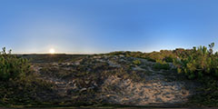 Cap Ferret - océan - entre dunes et forêt