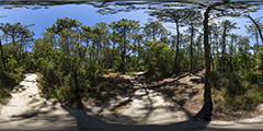 Cap Ferret - Chemin Océan