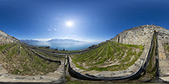 Lac Léman - vignes