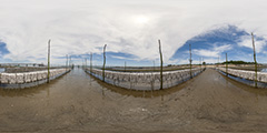 Cap Ferret — parcs à huitres 2