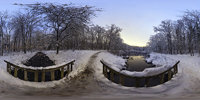 Forêt de Louveciennes — Étang De Béchevet III