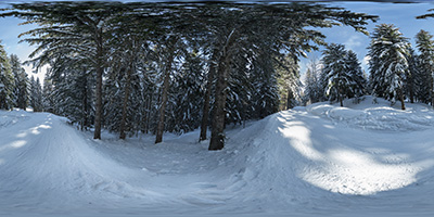 Les Gets — chemin dans les sapins